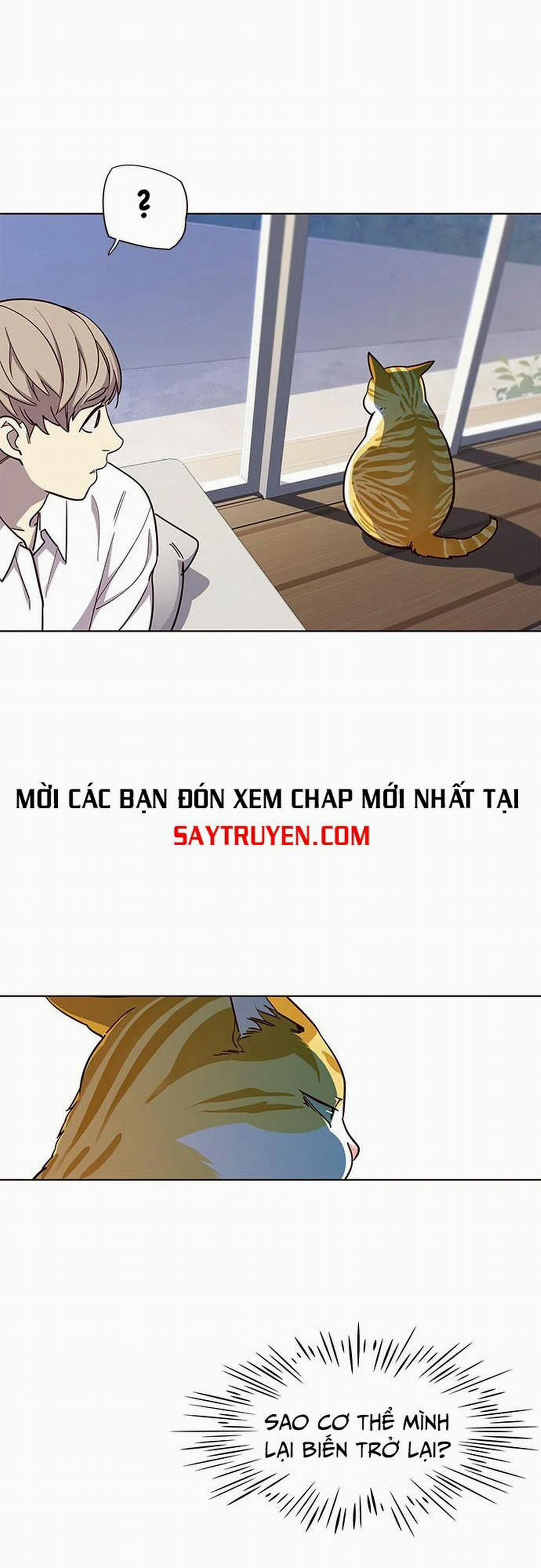 Hóa Thân Thành Mèo 16 trang 9