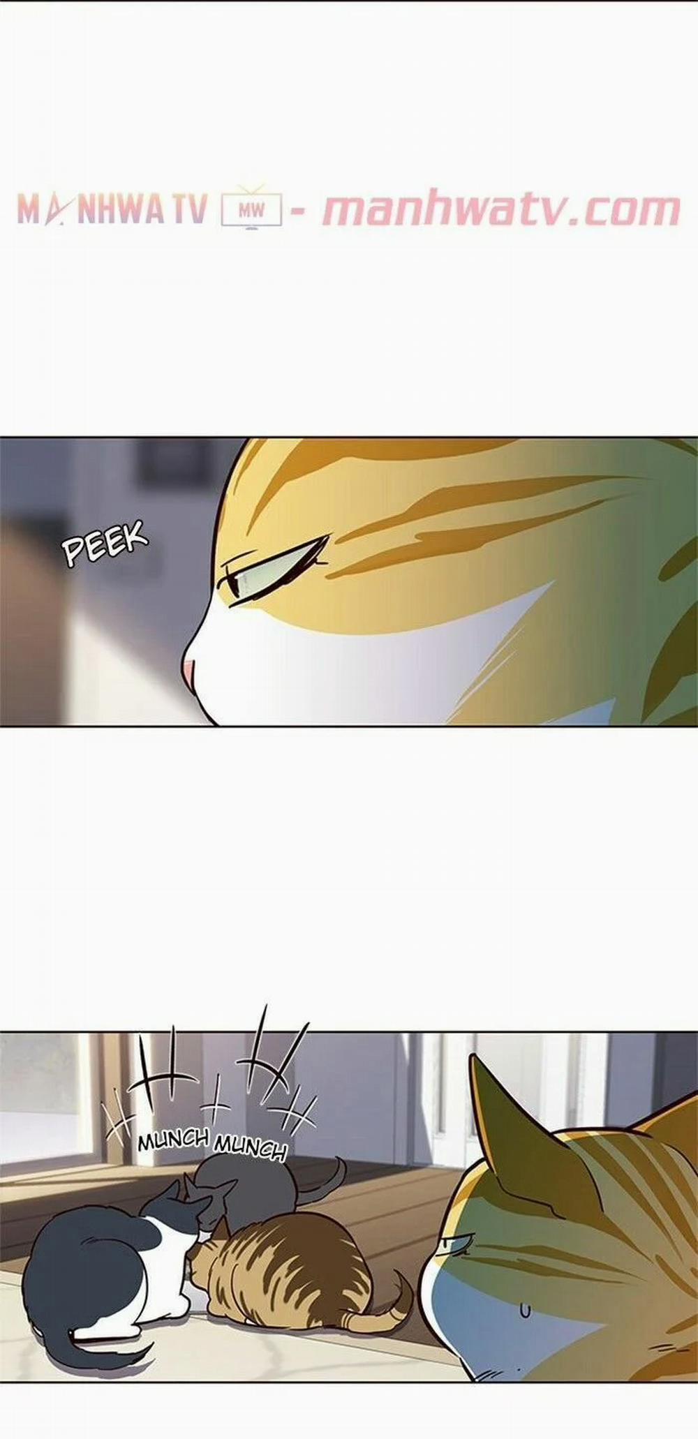 Hóa Thân Thành Mèo 17 trang 37
