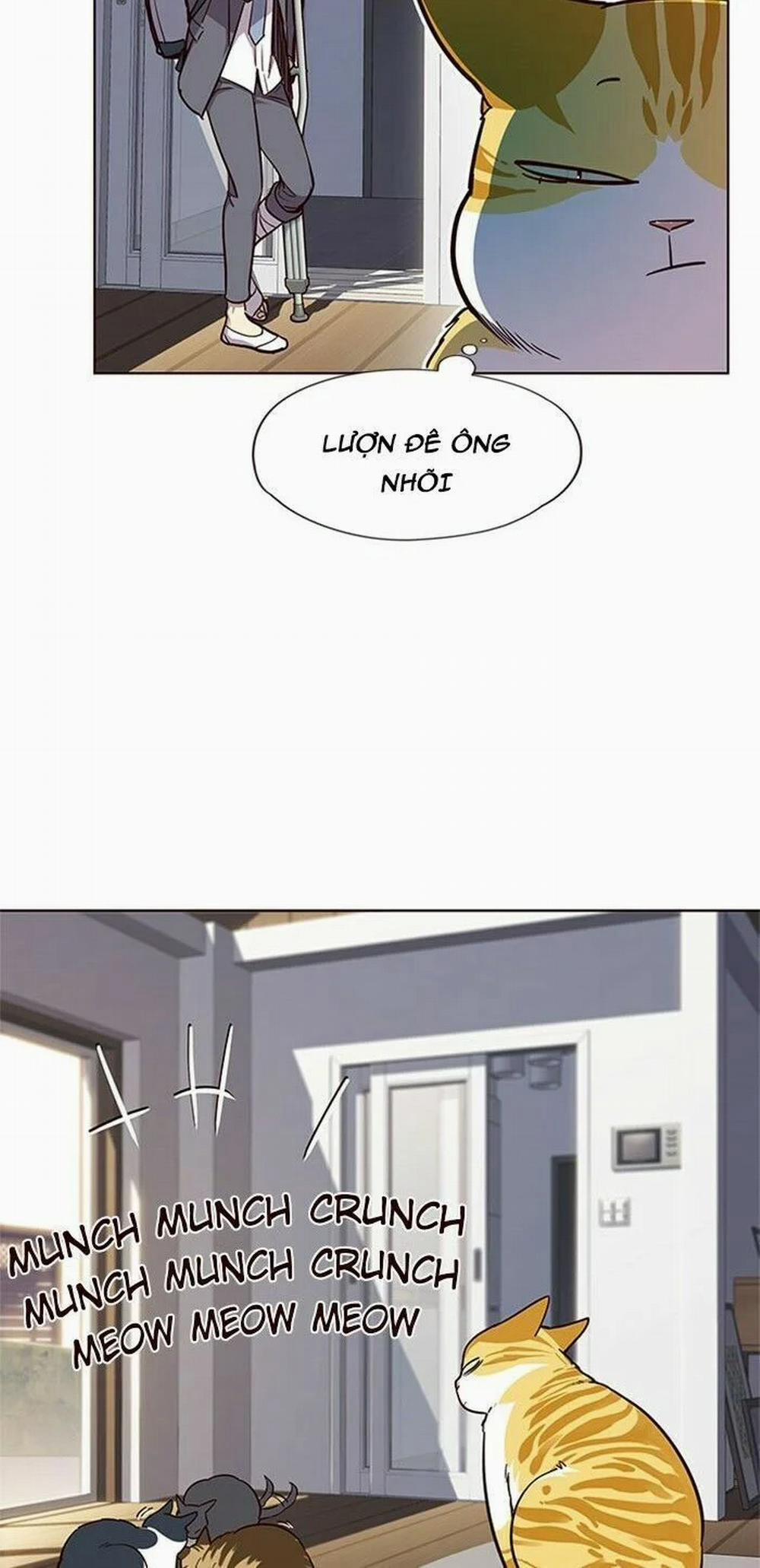 Hóa Thân Thành Mèo 17 trang 39