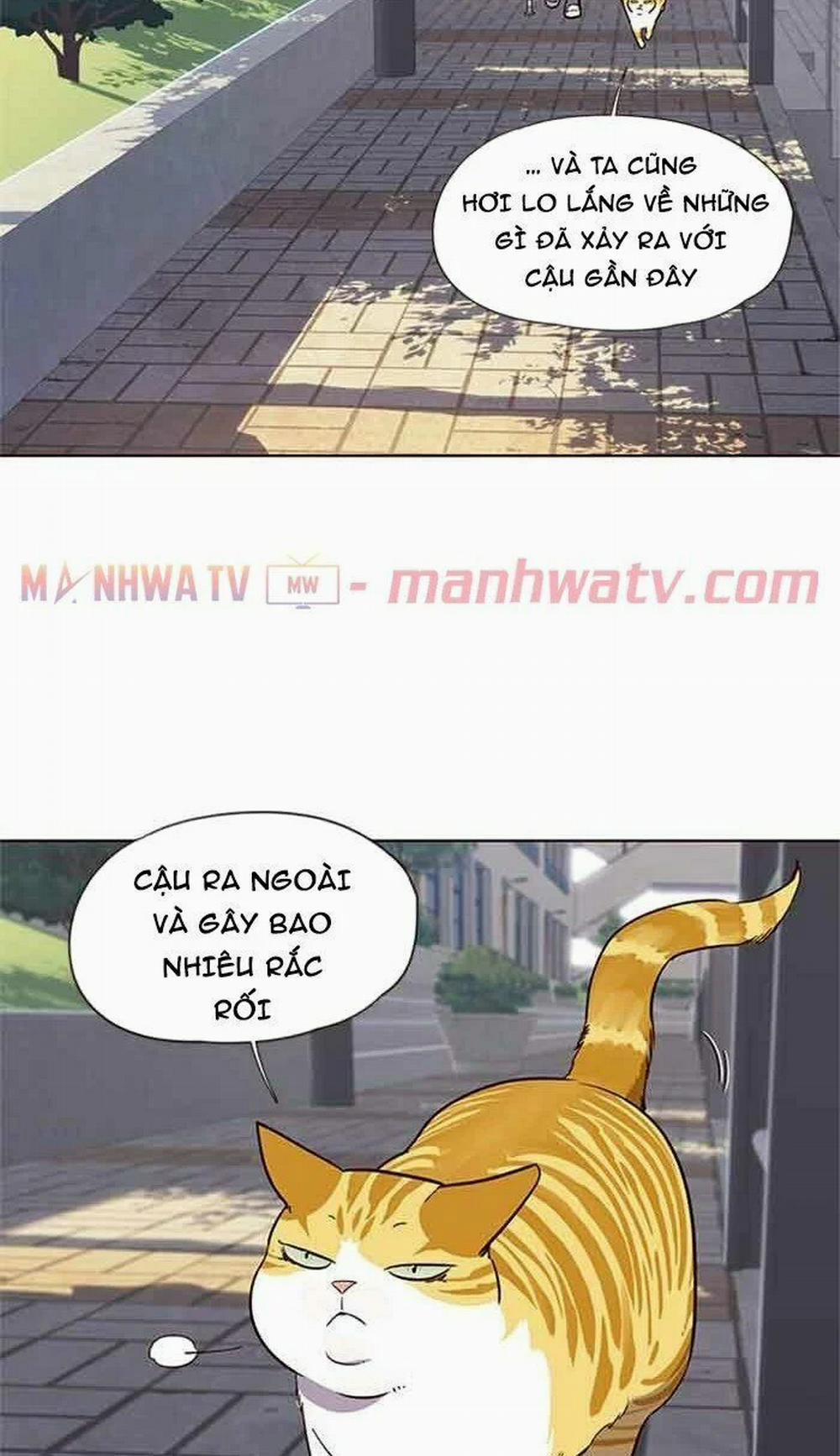 Hóa Thân Thành Mèo 18 trang 53