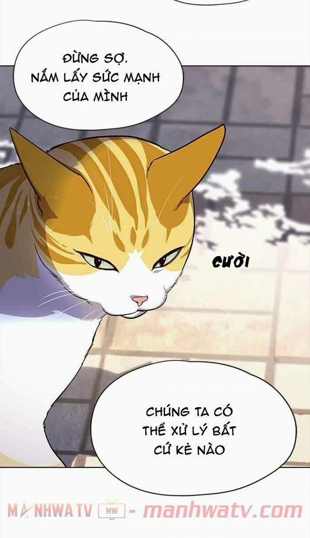 Hóa Thân Thành Mèo 18 trang 62