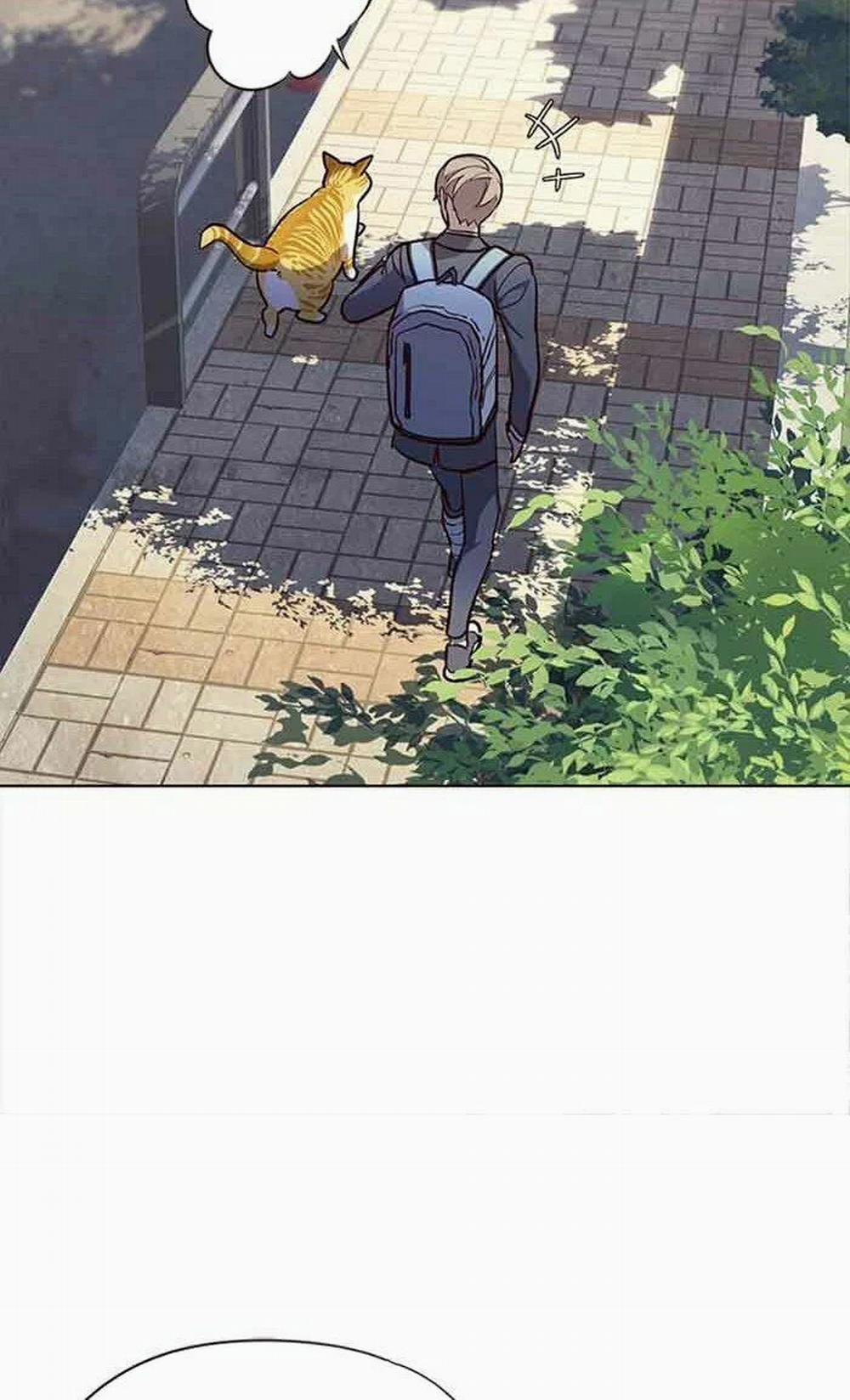 Hóa Thân Thành Mèo 18 trang 66