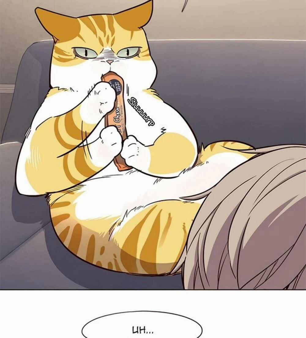 Hóa Thân Thành Mèo 19 trang 30