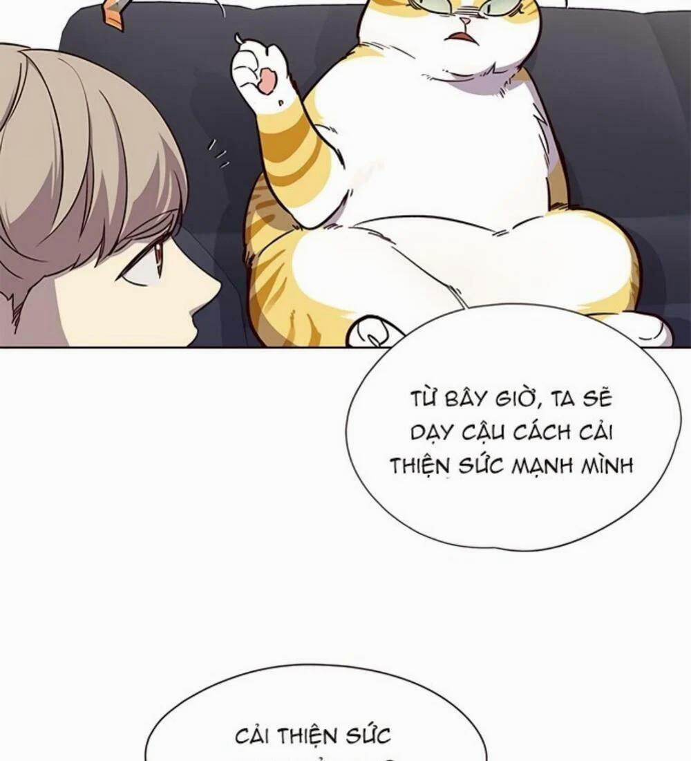 Hóa Thân Thành Mèo 19 trang 41
