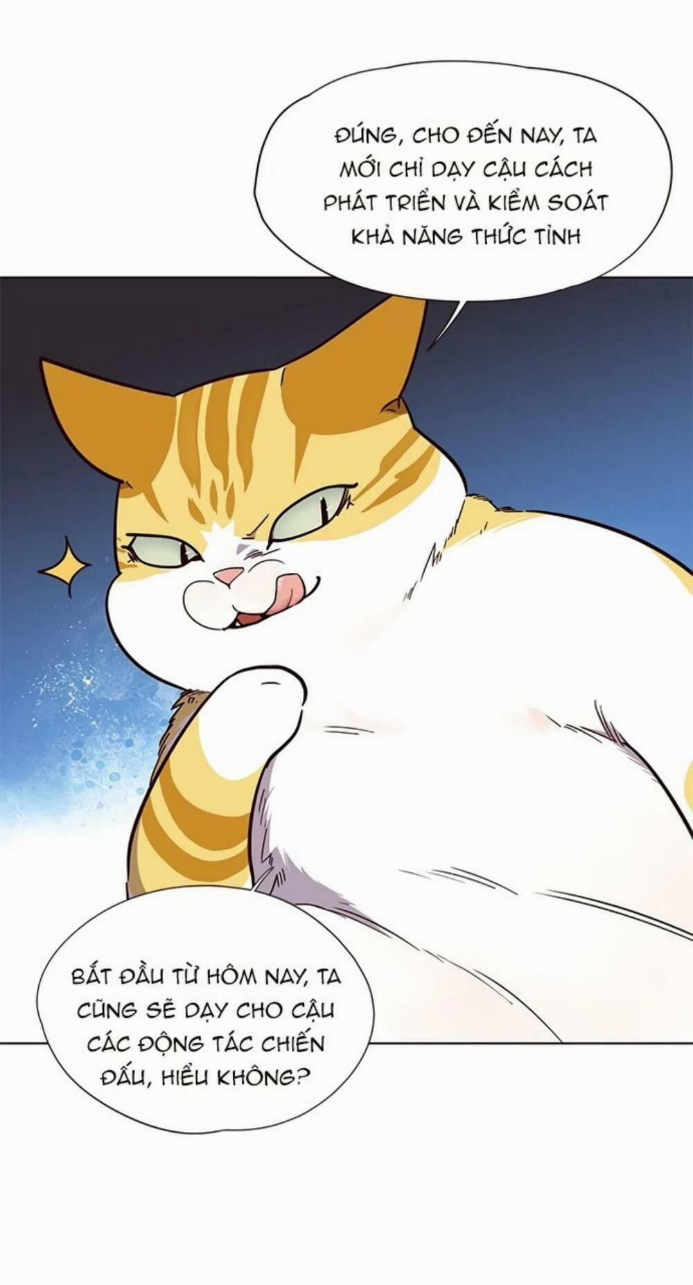 Hóa Thân Thành Mèo 19 trang 43