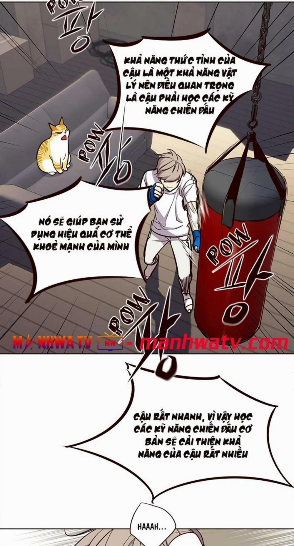 Hóa Thân Thành Mèo 19 trang 50