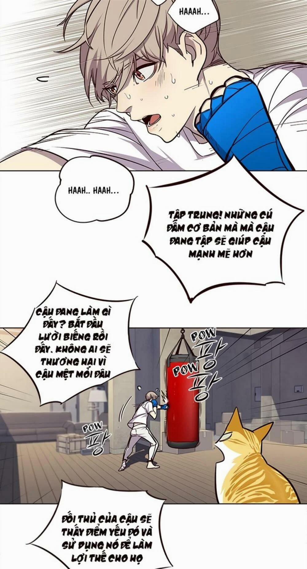 Hóa Thân Thành Mèo 19 trang 51