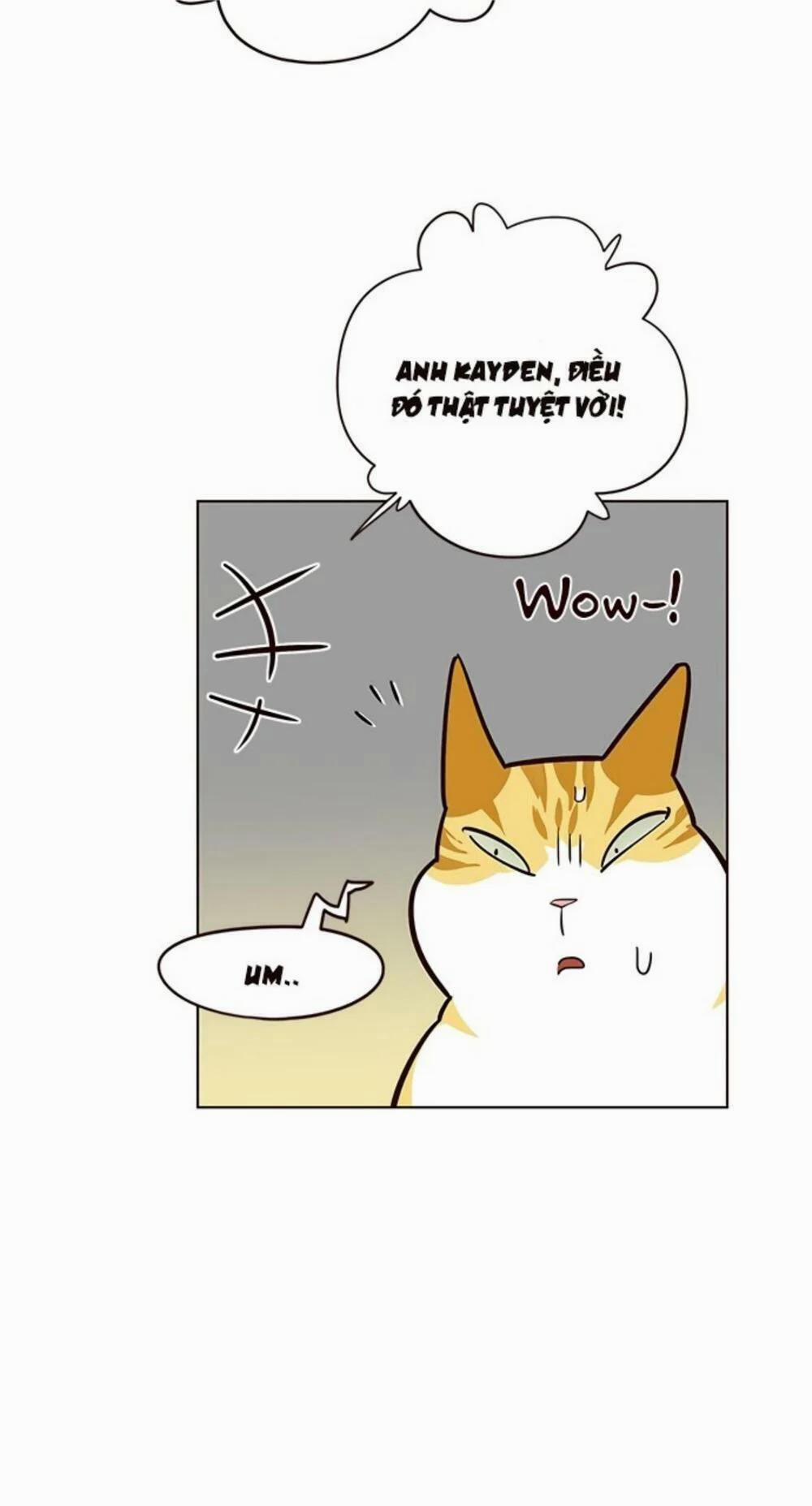 Hóa Thân Thành Mèo 19 trang 61