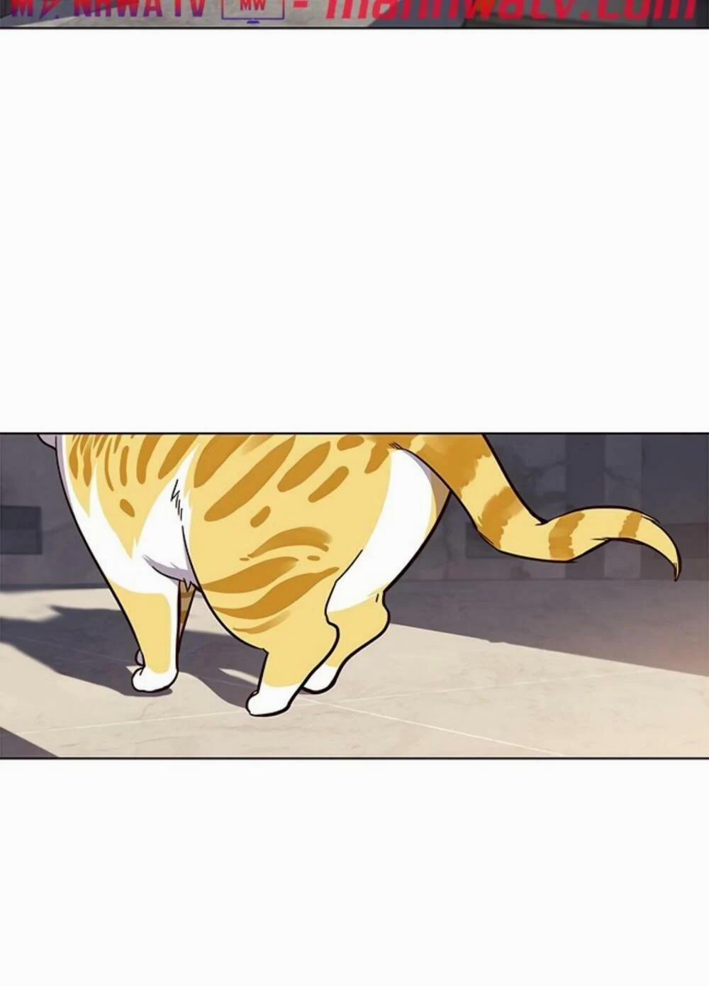 Hóa Thân Thành Mèo 19 trang 79