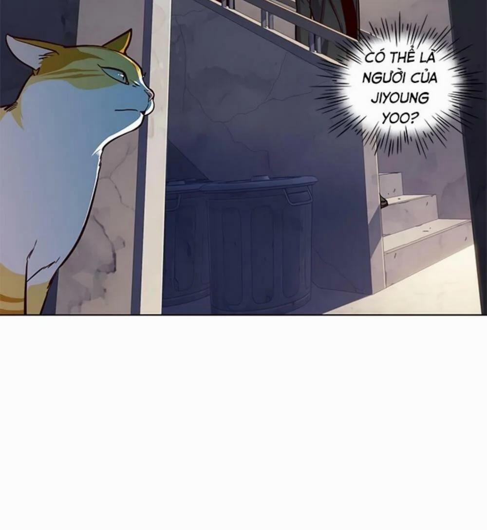 Hóa Thân Thành Mèo 19 trang 86