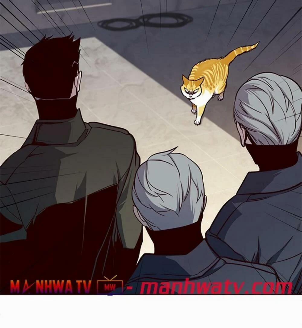 Hóa Thân Thành Mèo 19 trang 91