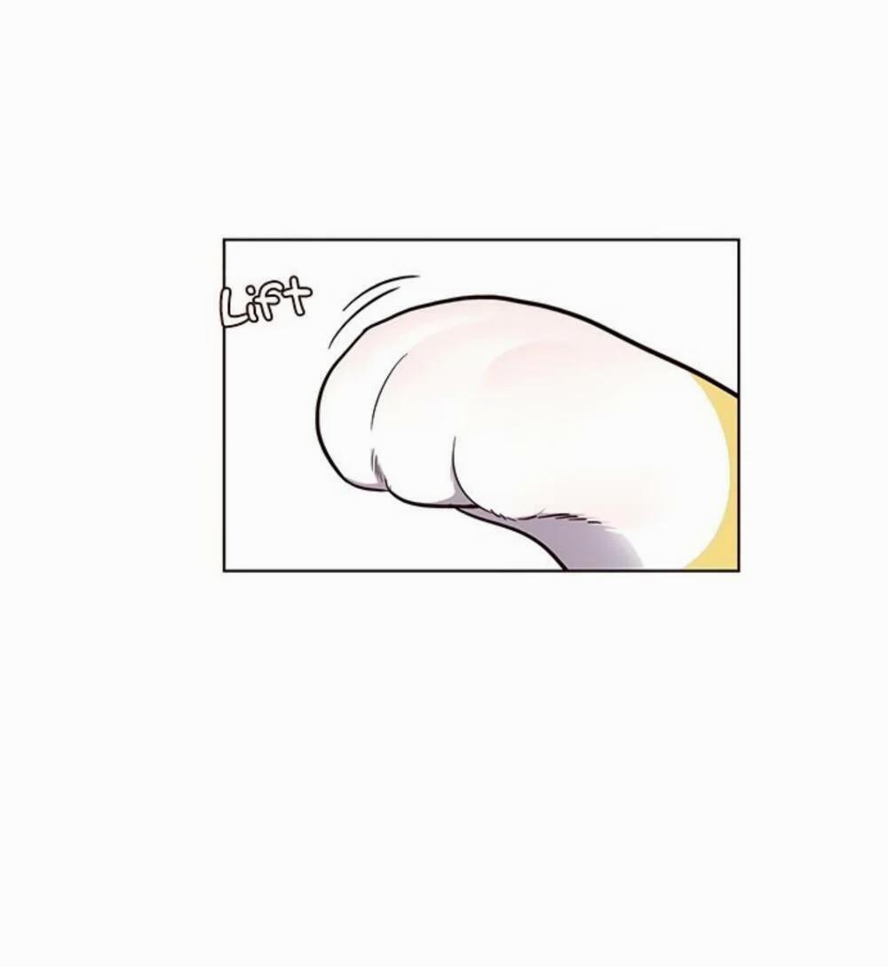 Hóa Thân Thành Mèo 19 trang 96