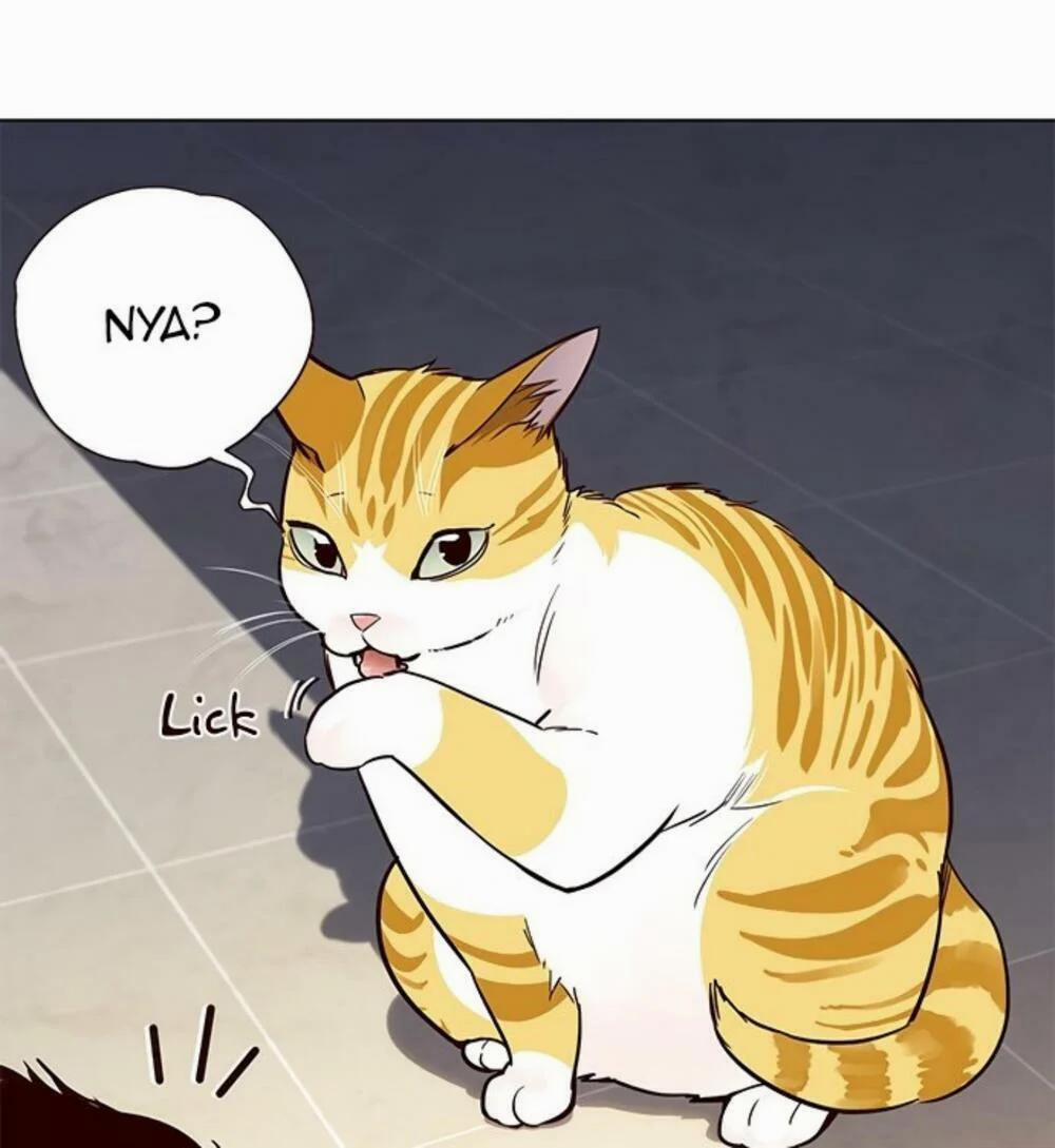 Hóa Thân Thành Mèo 19 trang 97