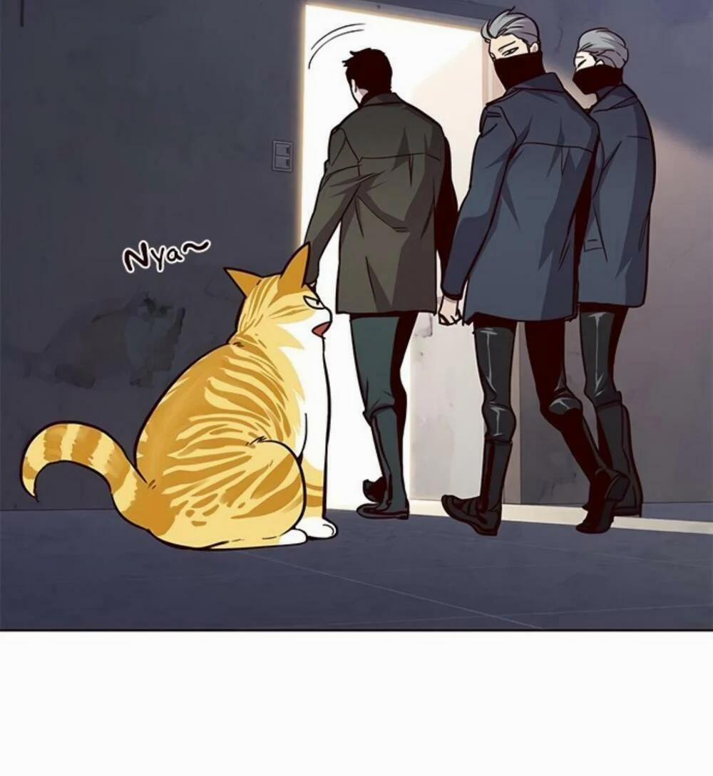 Hóa Thân Thành Mèo 19 trang 99