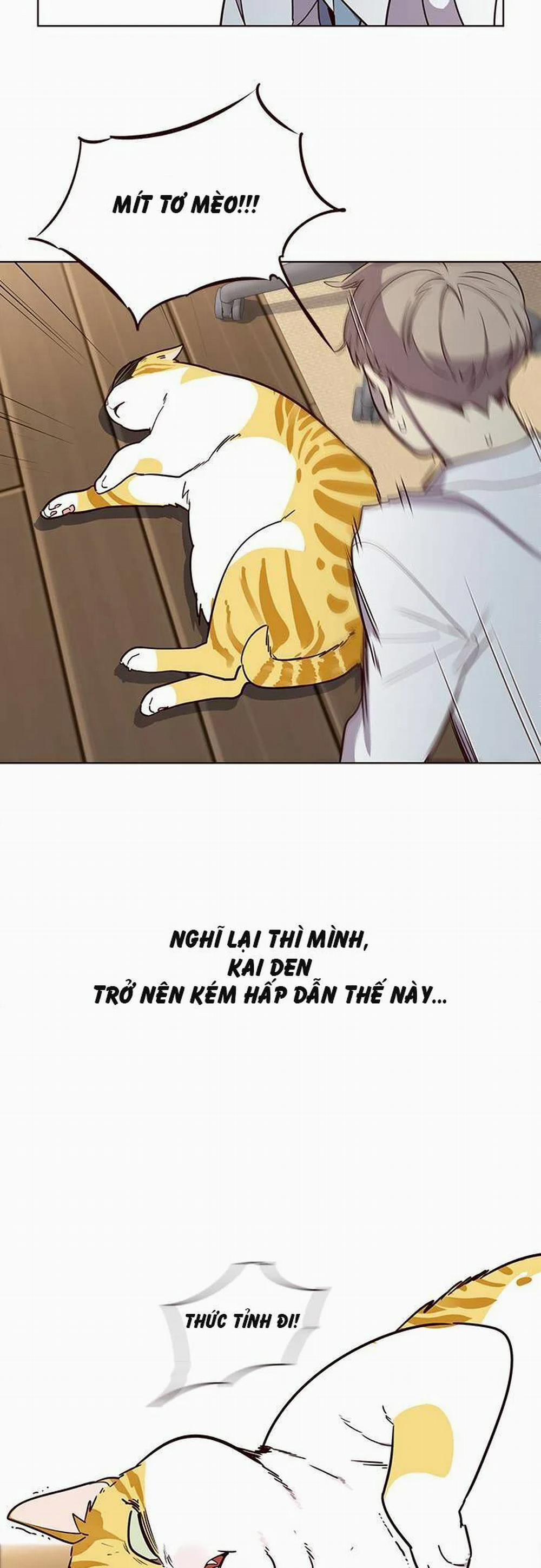 Hóa Thân Thành Mèo 2 trang 1
