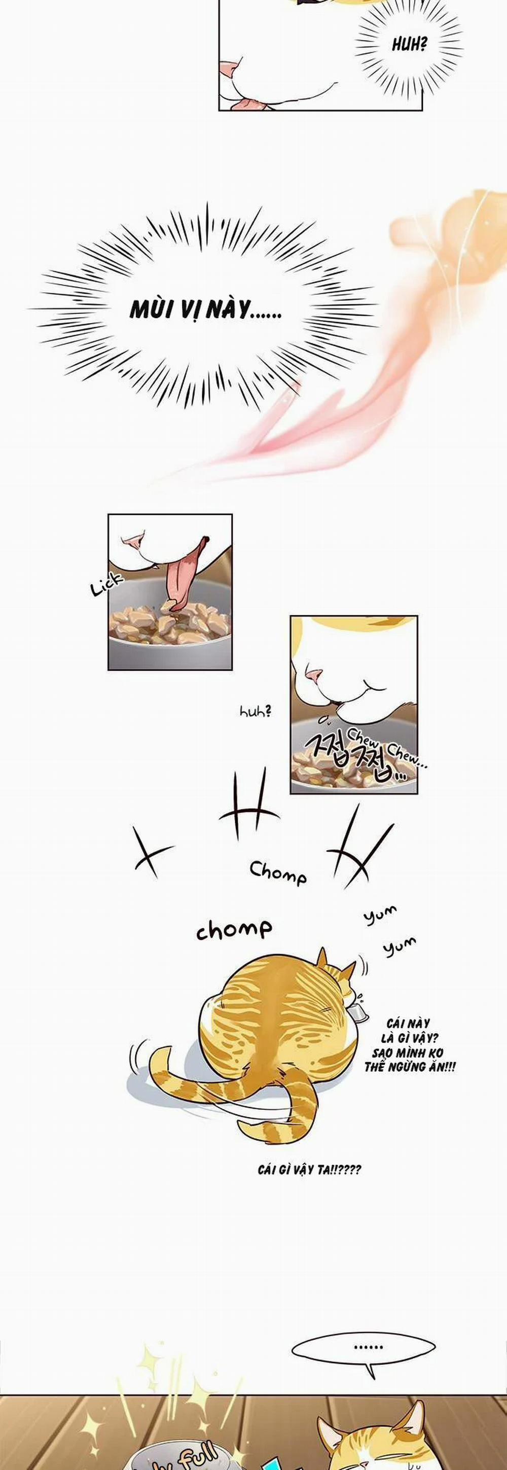 Hóa Thân Thành Mèo 2 trang 12