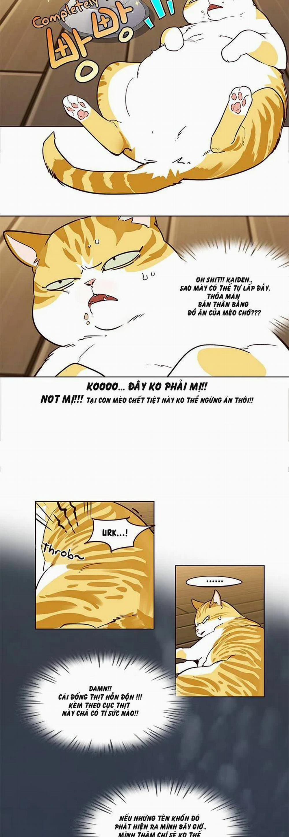 Hóa Thân Thành Mèo 2 trang 13