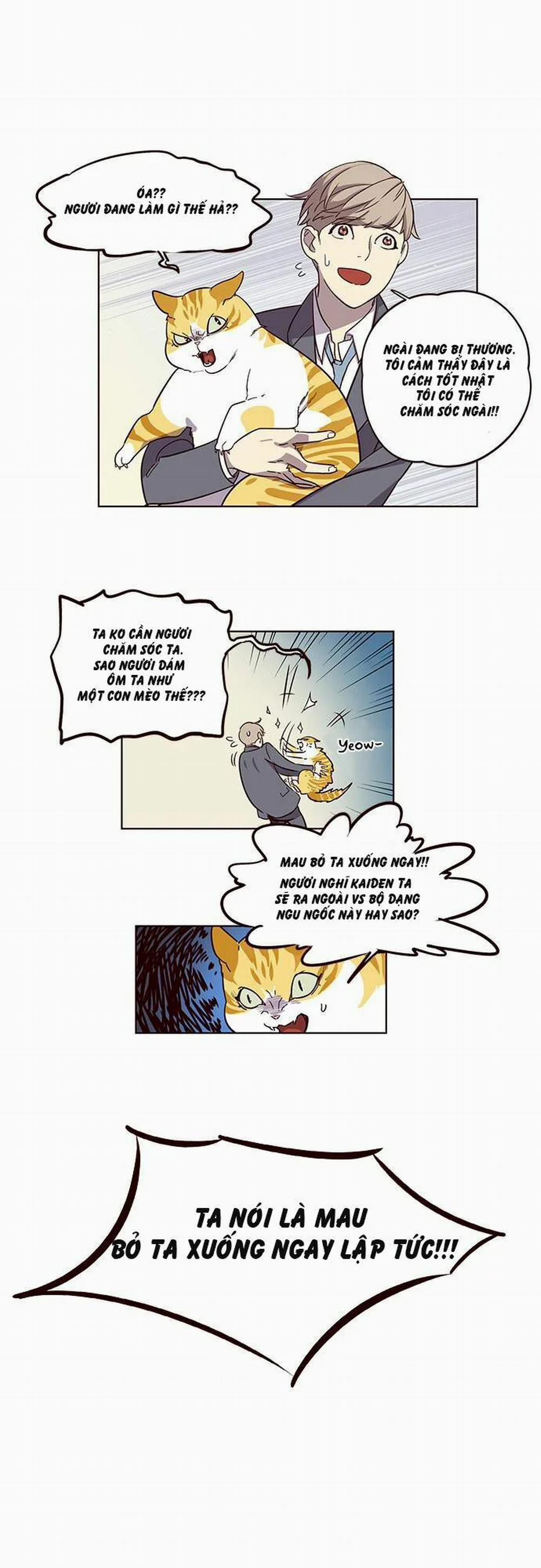 Hóa Thân Thành Mèo 2 trang 17