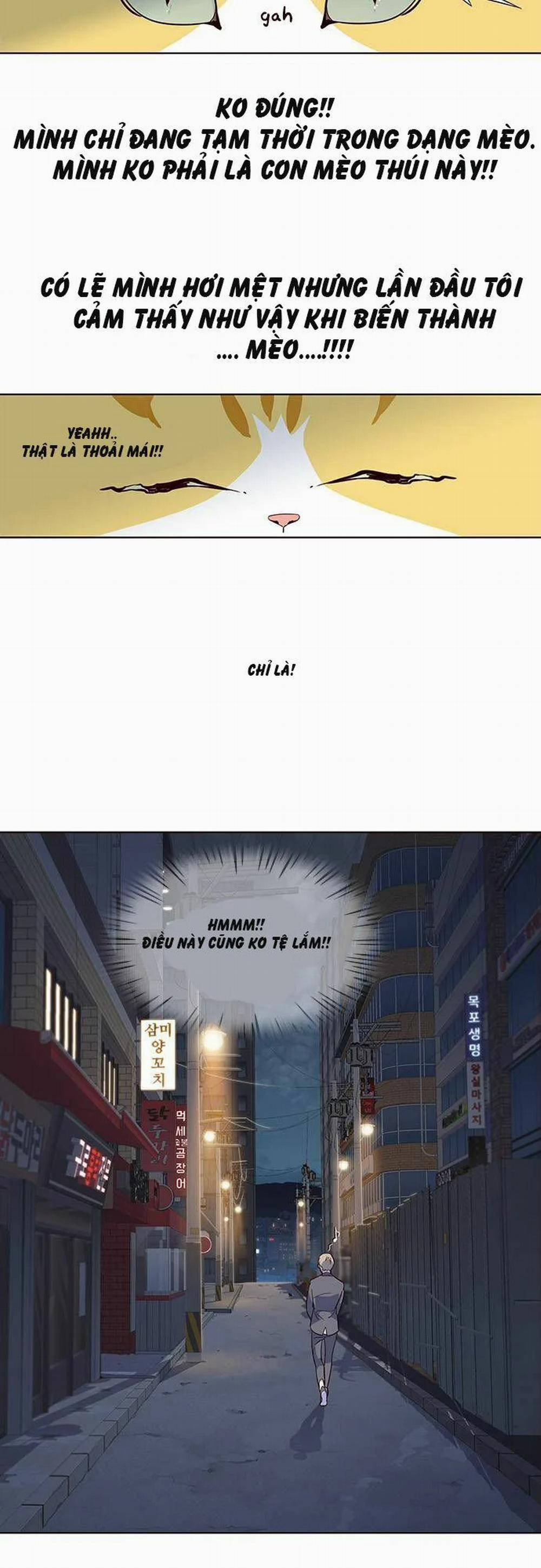 Hóa Thân Thành Mèo 2 trang 19