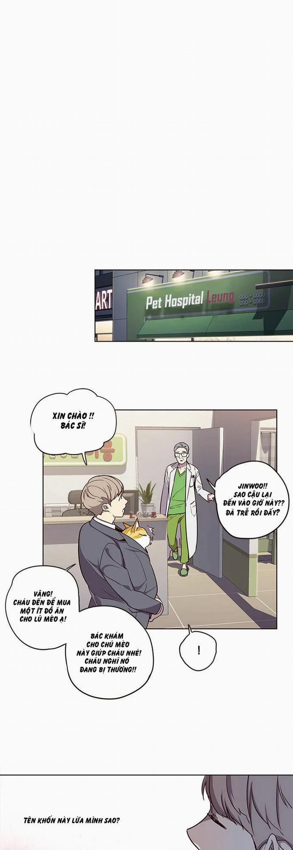 Hóa Thân Thành Mèo 2 trang 20