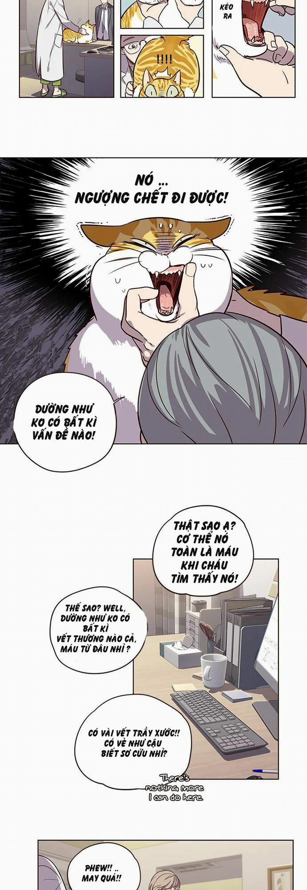 Hóa Thân Thành Mèo 2 trang 22