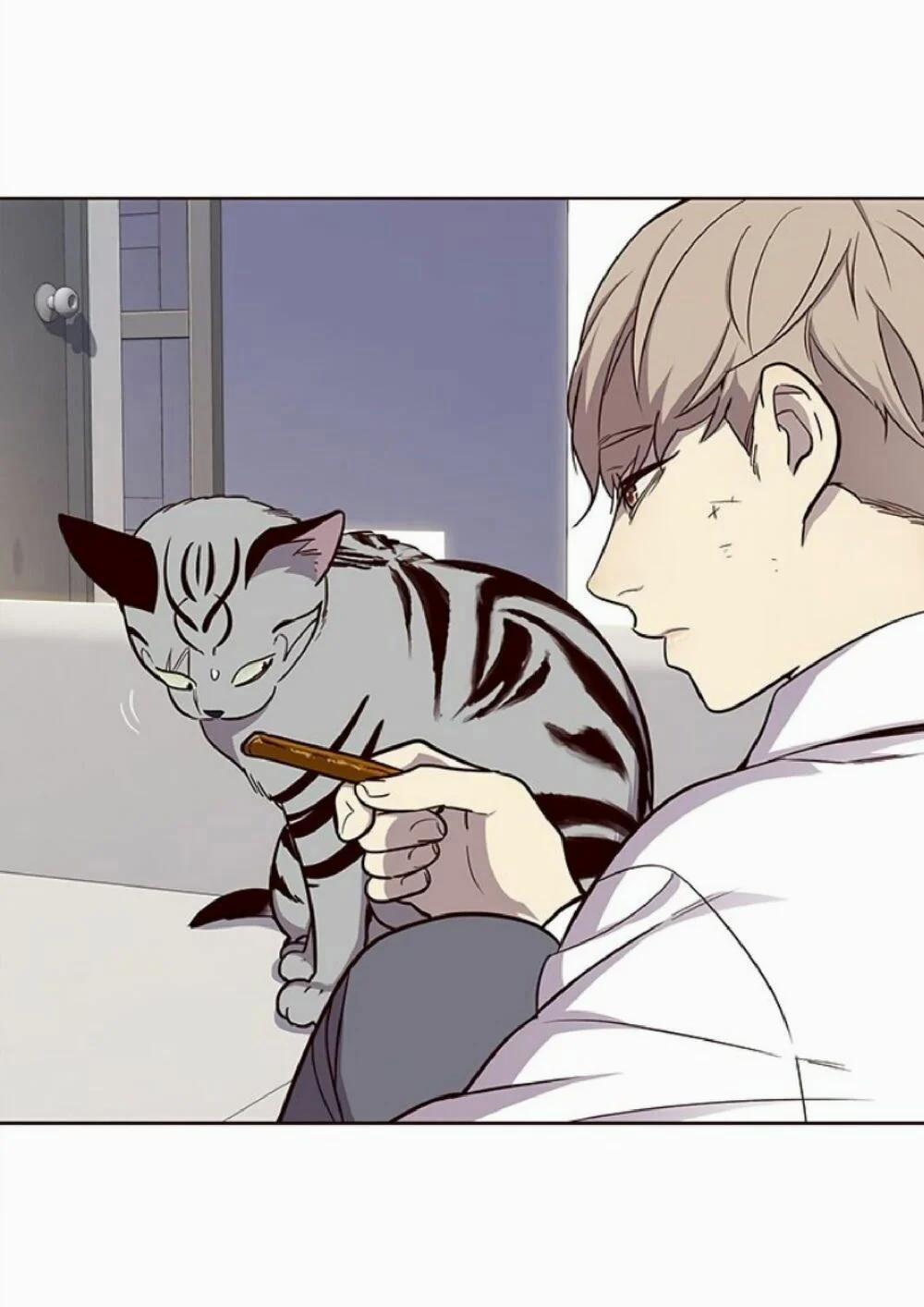 Hóa Thân Thành Mèo 21 trang 24