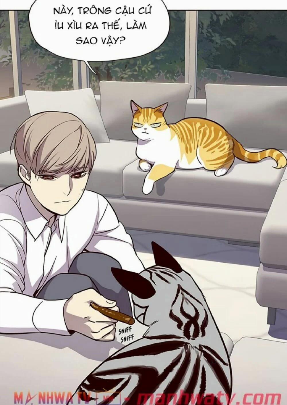Hóa Thân Thành Mèo 21 trang 25