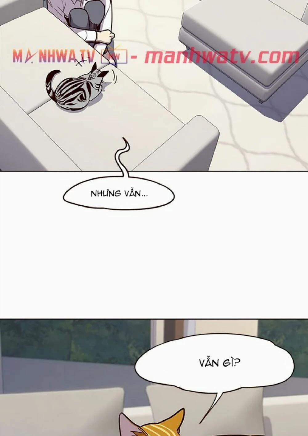 Hóa Thân Thành Mèo 21 trang 31