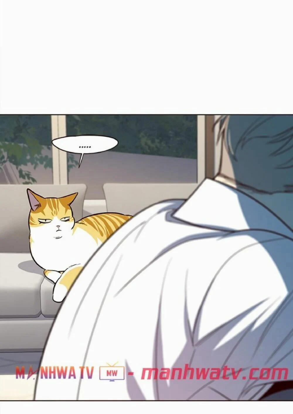 Hóa Thân Thành Mèo 21 trang 38