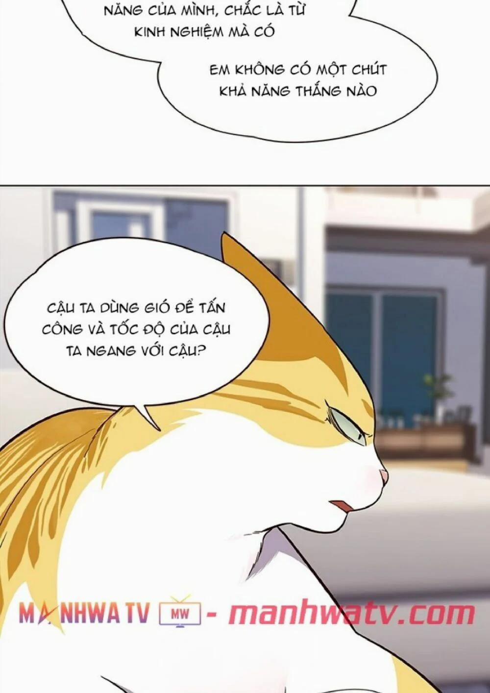 Hóa Thân Thành Mèo 21 trang 41