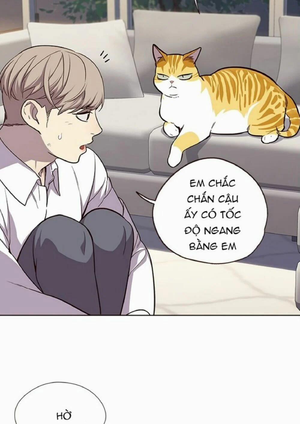 Hóa Thân Thành Mèo 21 trang 43