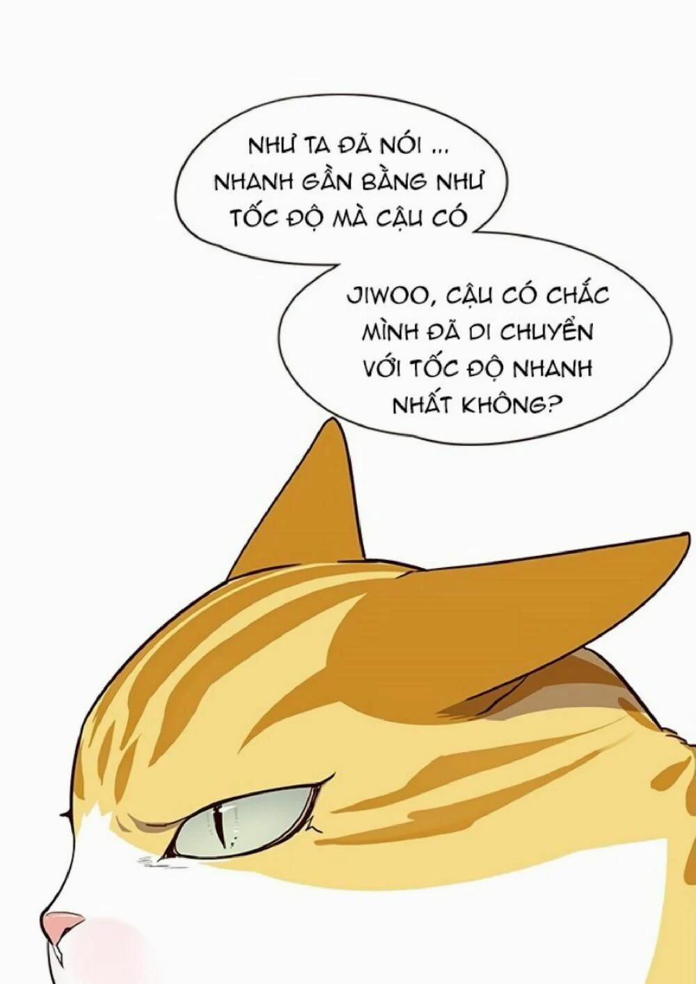 Hóa Thân Thành Mèo 21 trang 45