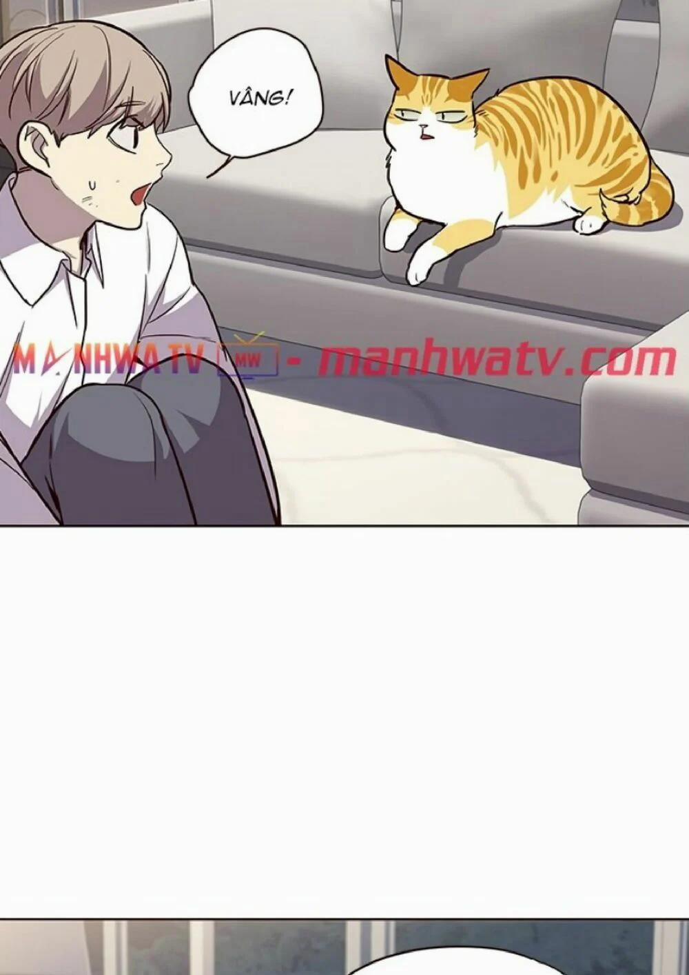 Hóa Thân Thành Mèo 21 trang 51