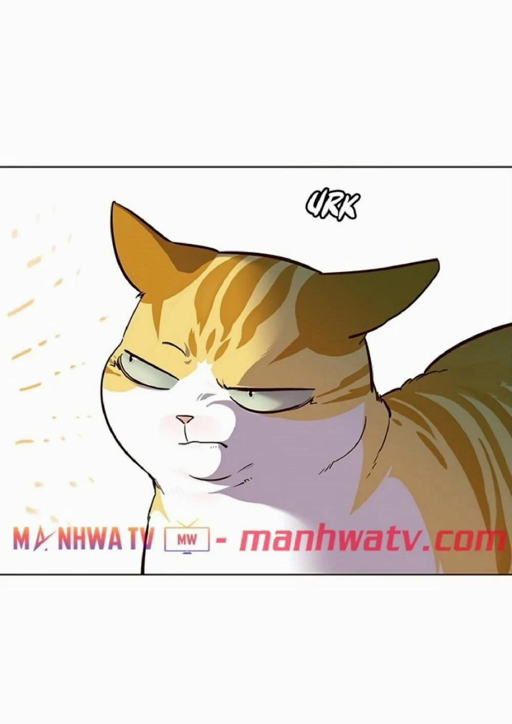 Hóa Thân Thành Mèo 21 trang 55