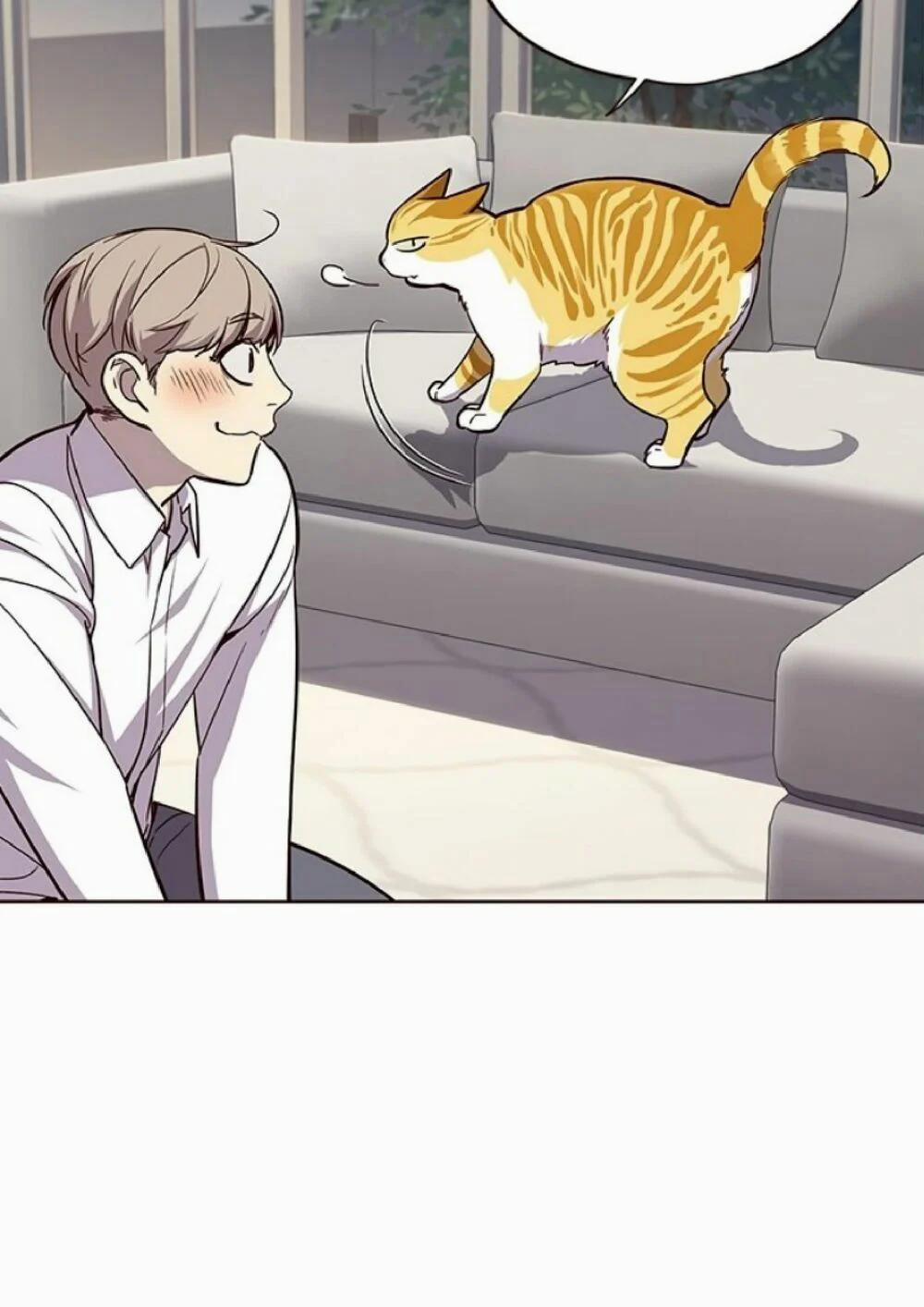 Hóa Thân Thành Mèo 21 trang 56
