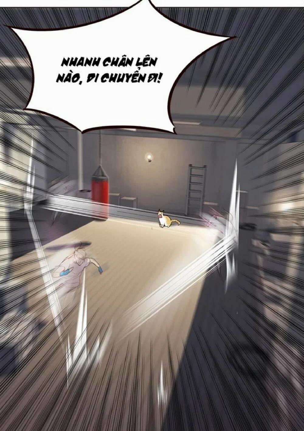 Hóa Thân Thành Mèo 21 trang 61