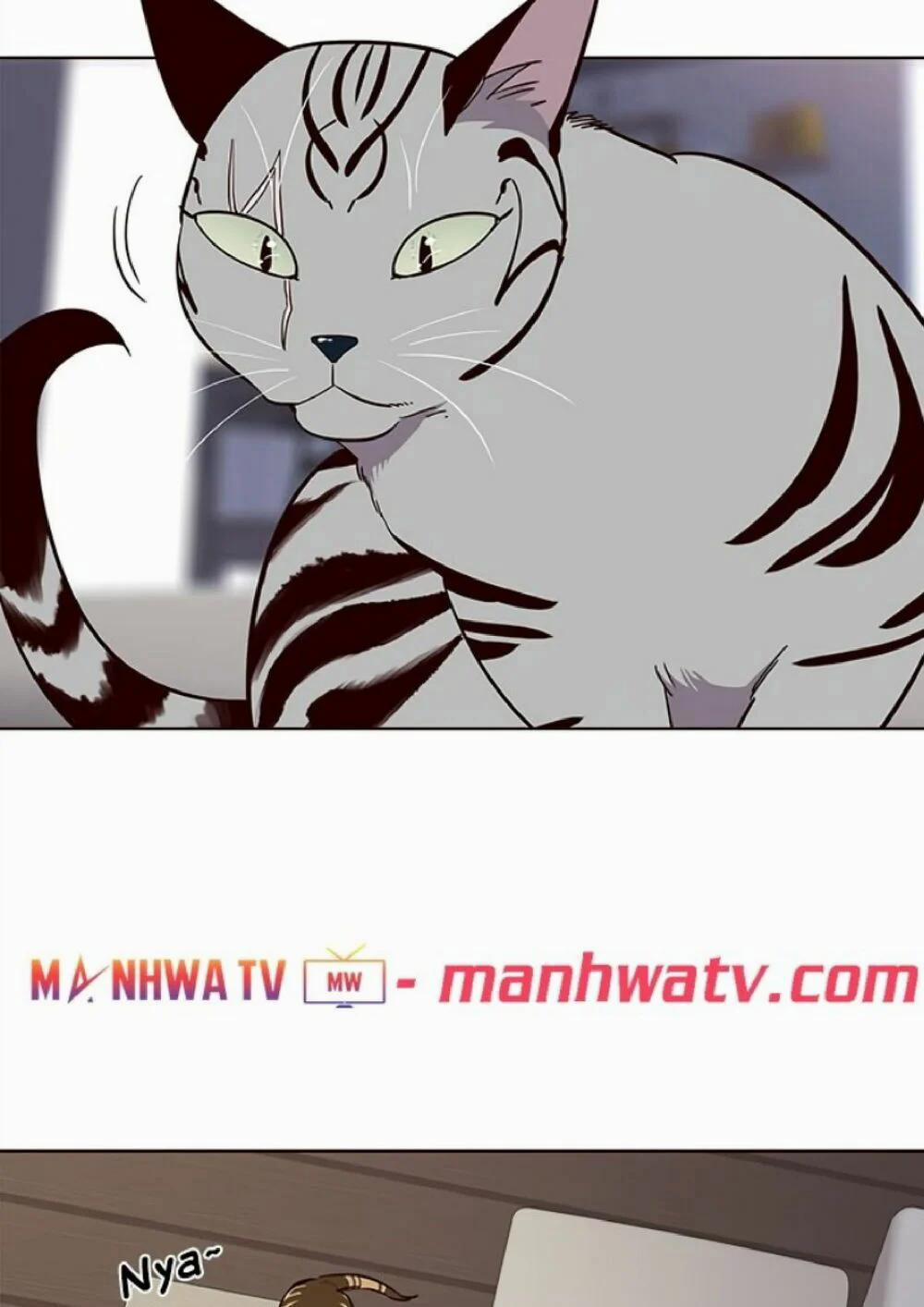 Hóa Thân Thành Mèo 21 trang 65