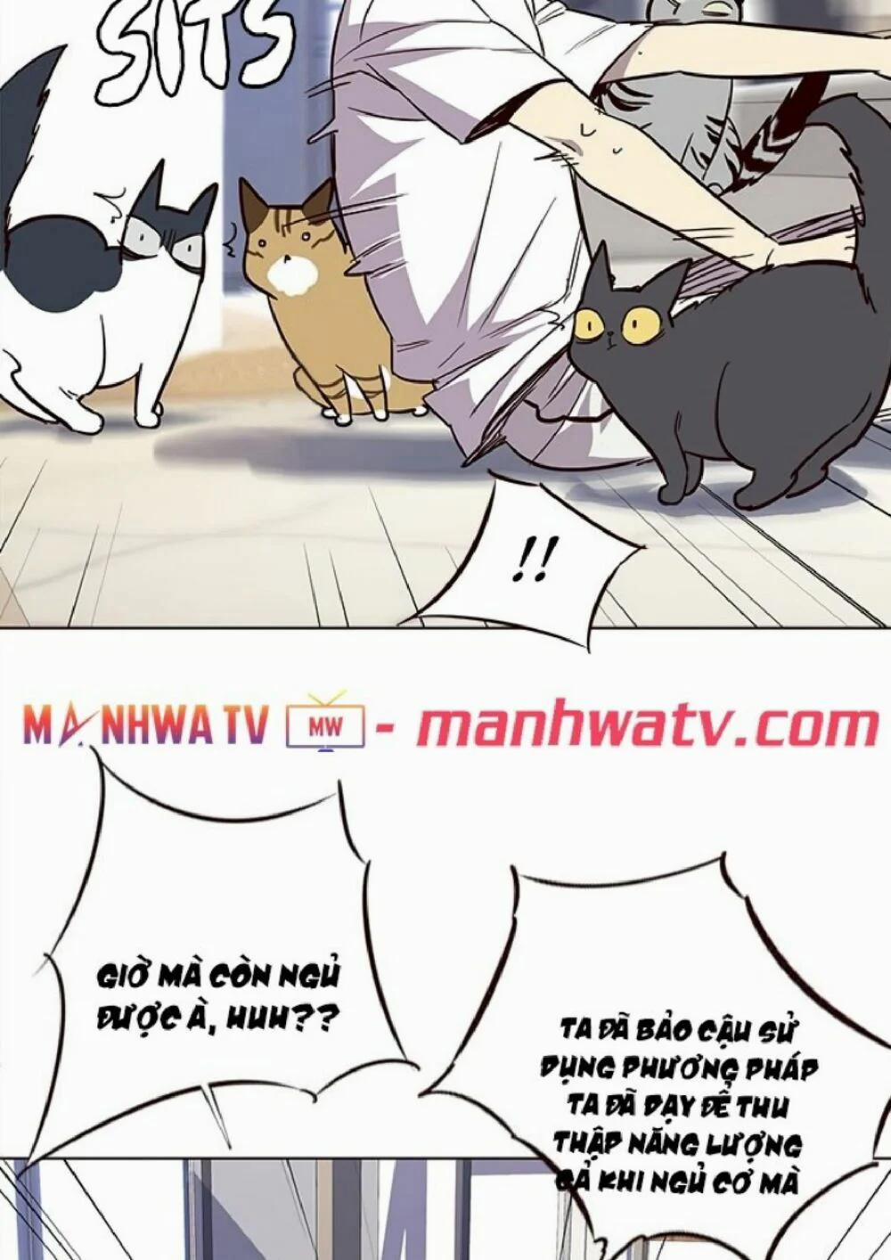 Hóa Thân Thành Mèo 21 trang 67