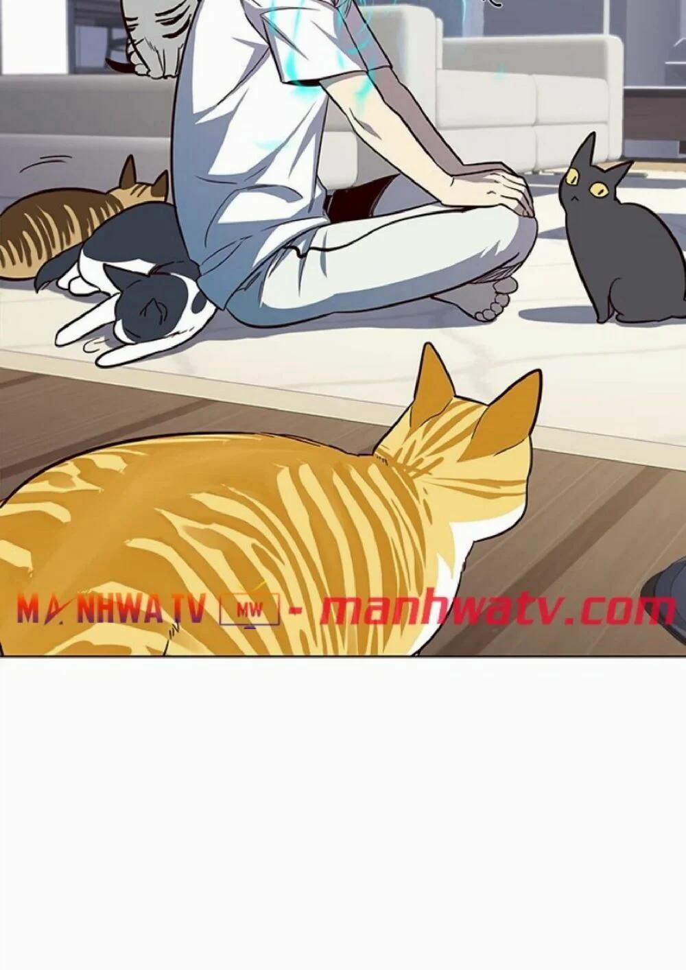 Hóa Thân Thành Mèo 21 trang 69