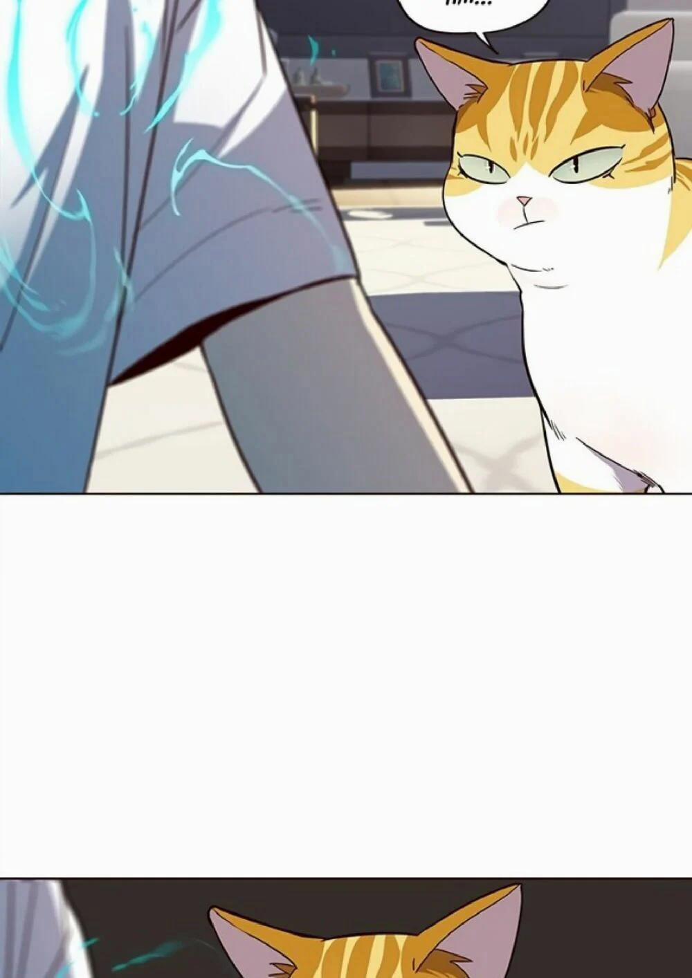 Hóa Thân Thành Mèo 21 trang 70