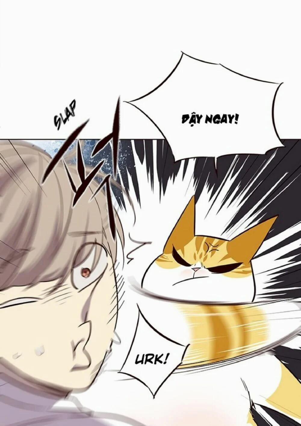 Hóa Thân Thành Mèo 21 trang 72