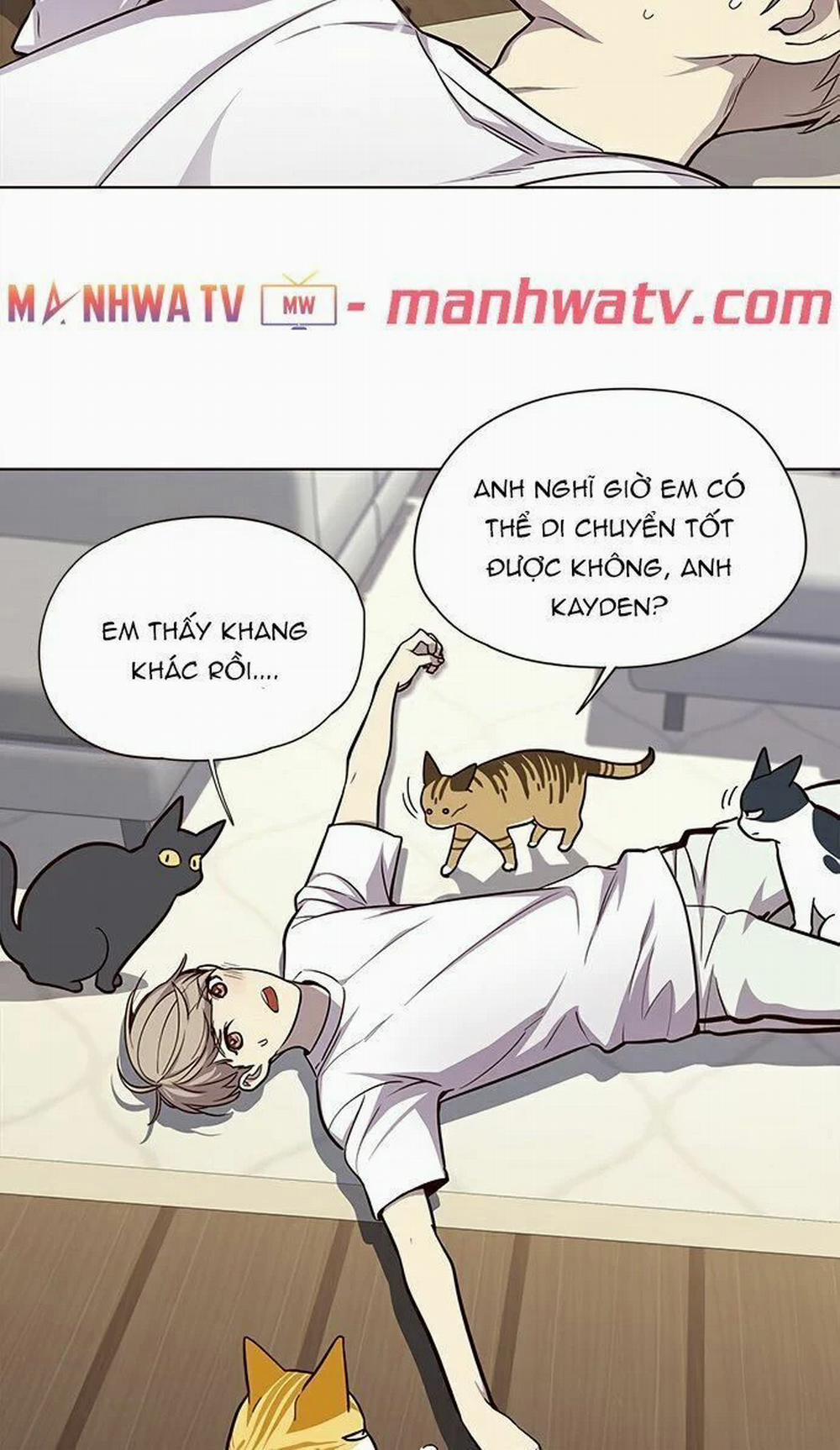 Hóa Thân Thành Mèo 22 trang 13