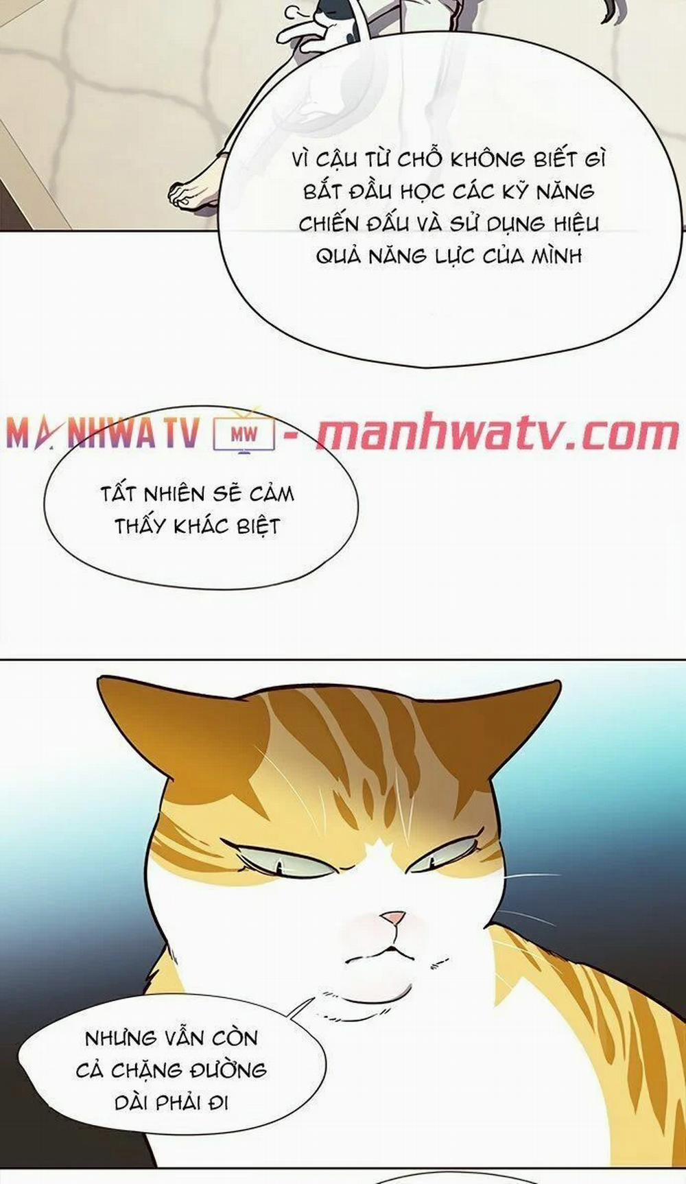 Hóa Thân Thành Mèo 22 trang 16