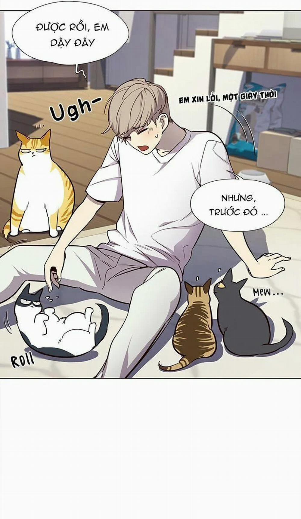 Hóa Thân Thành Mèo 22 trang 21