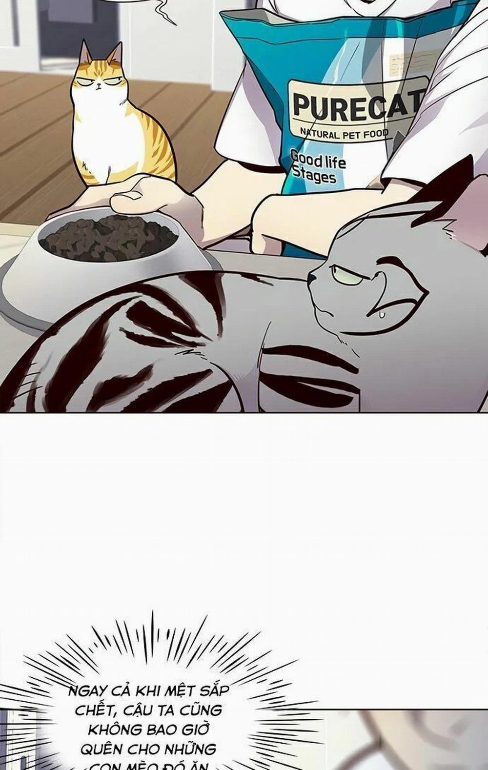 Hóa Thân Thành Mèo 22 trang 25