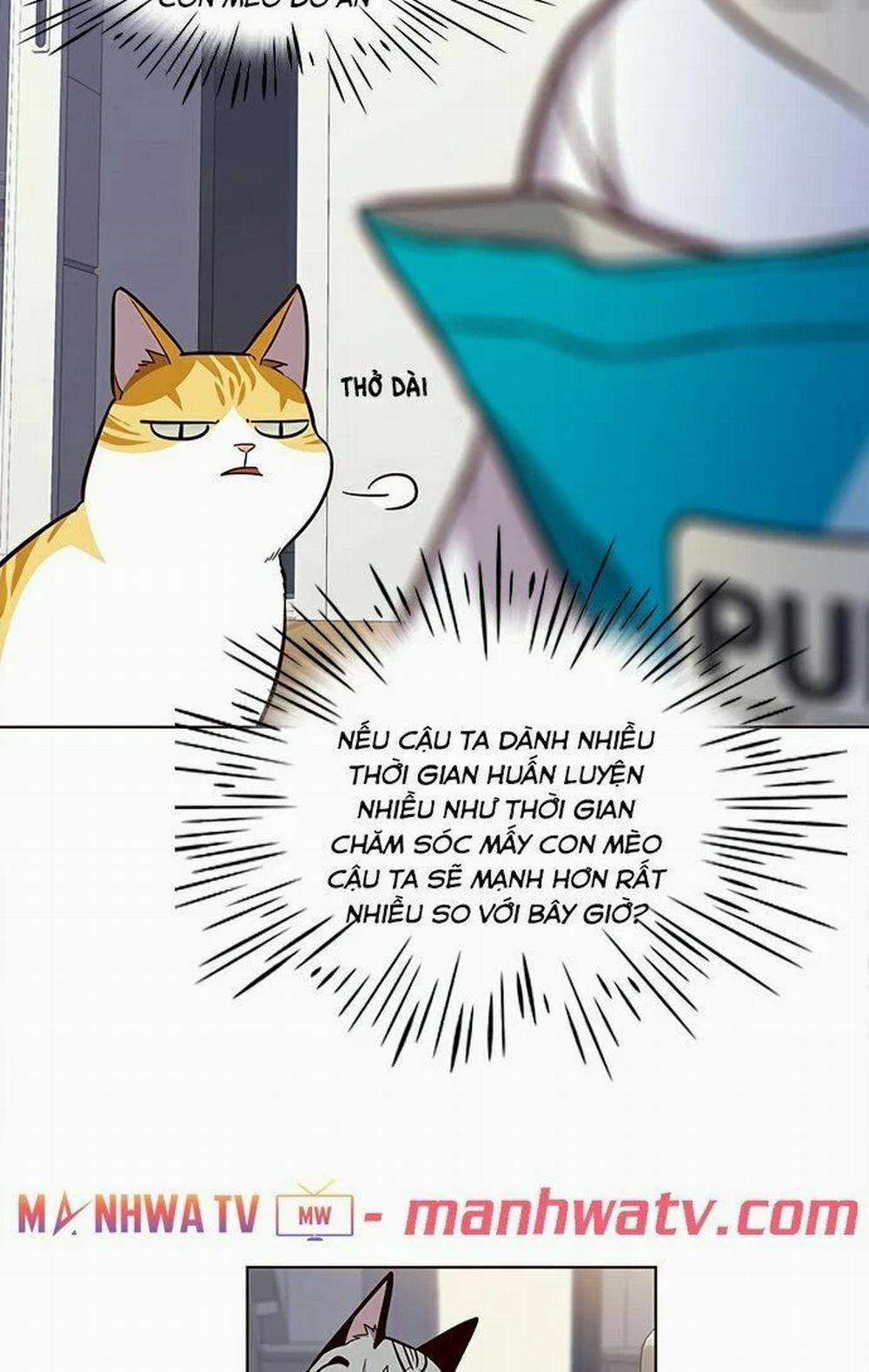 Hóa Thân Thành Mèo 22 trang 26