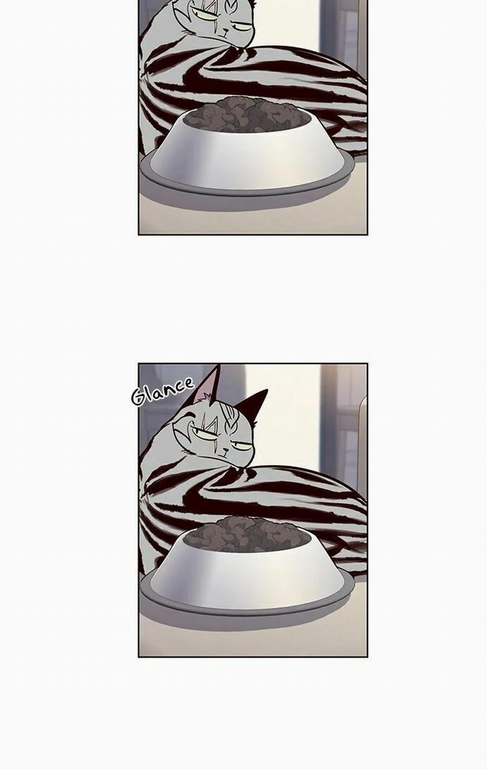 Hóa Thân Thành Mèo 22 trang 27