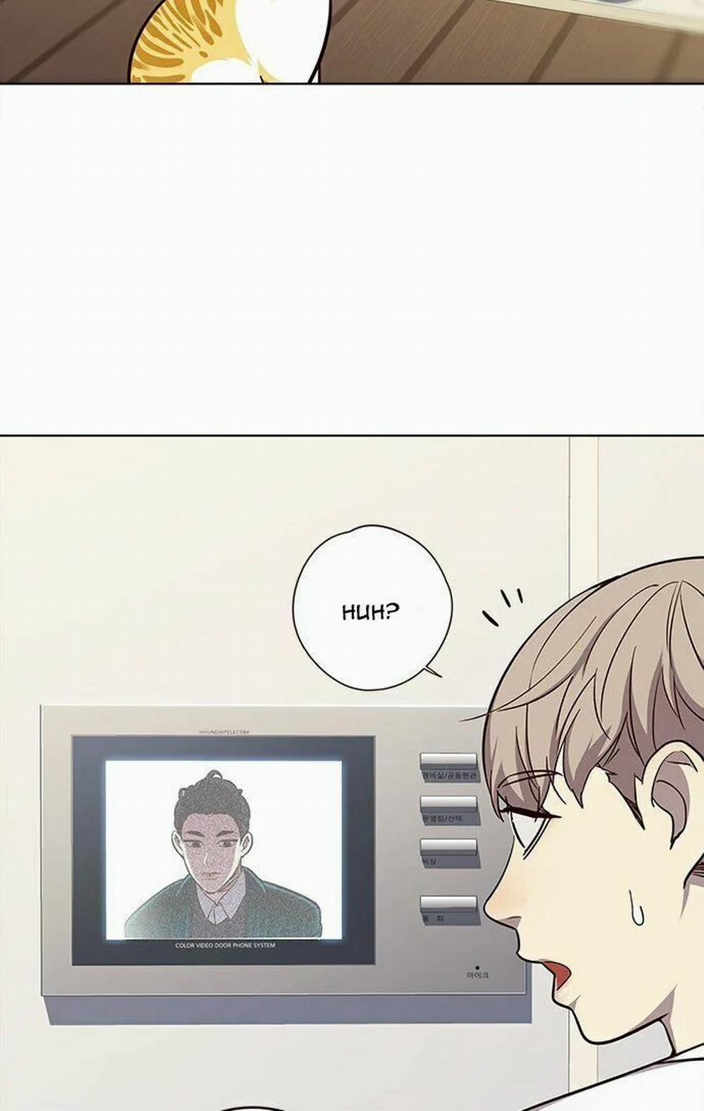 Hóa Thân Thành Mèo 22 trang 31