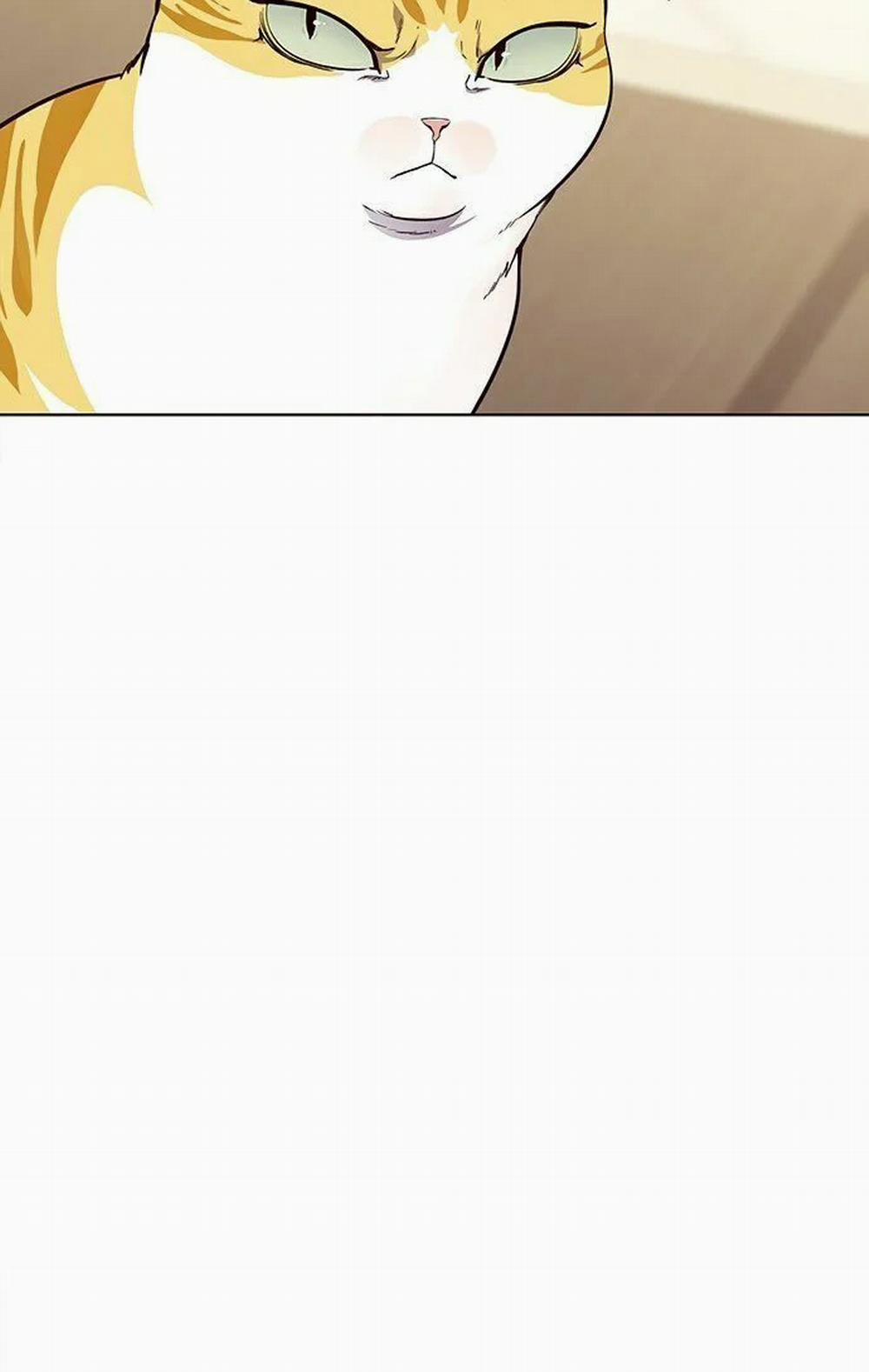 Hóa Thân Thành Mèo 22 trang 35