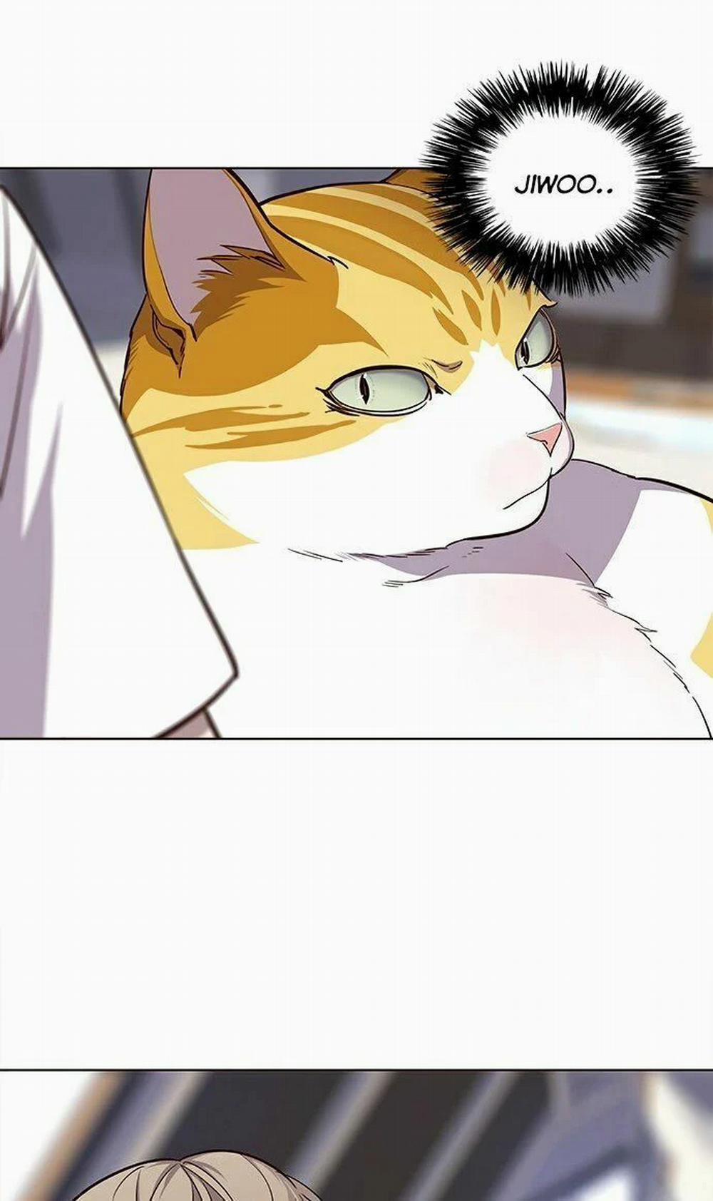 Hóa Thân Thành Mèo 22 trang 63